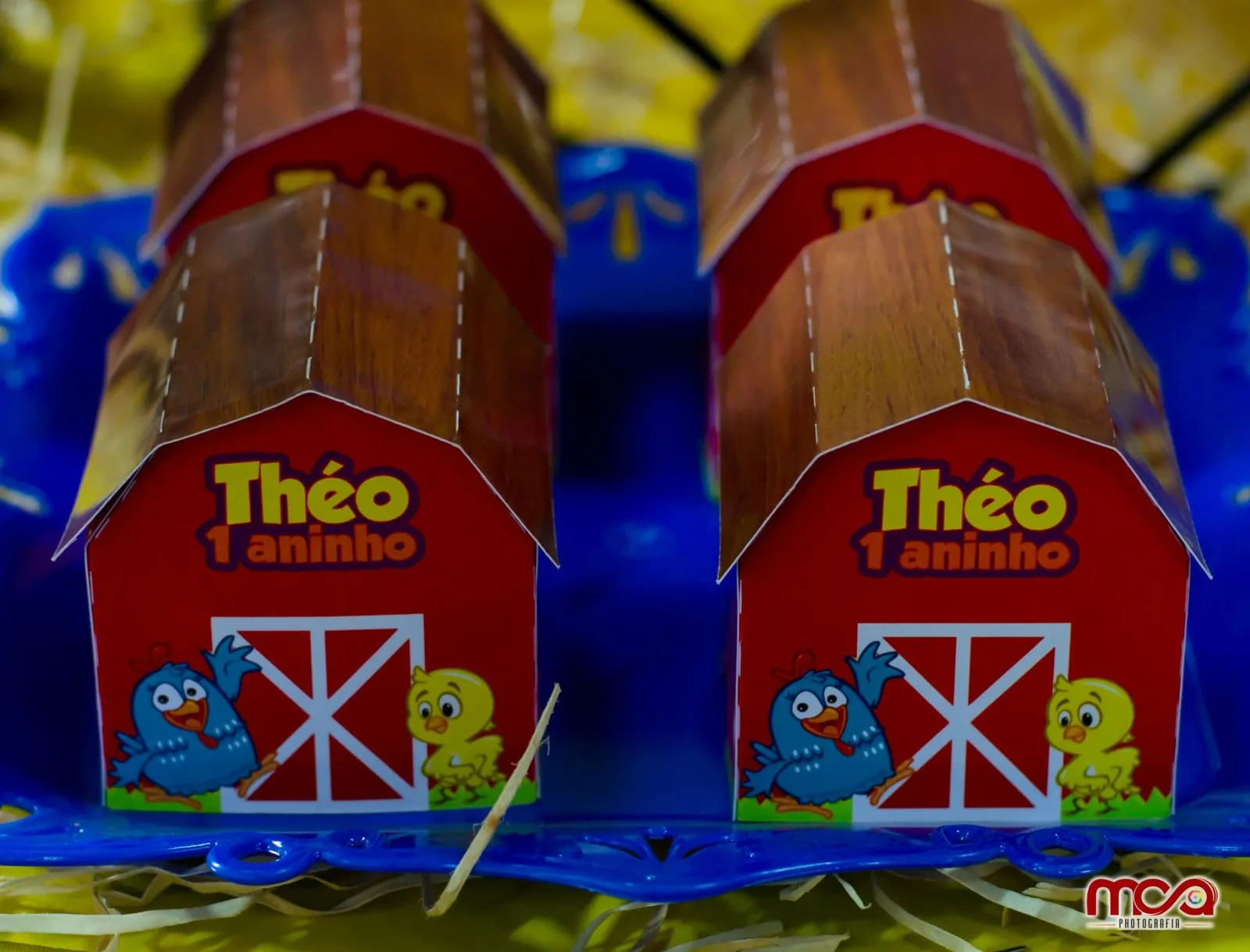Aniversário: Théo - 1 ano – foto 9
