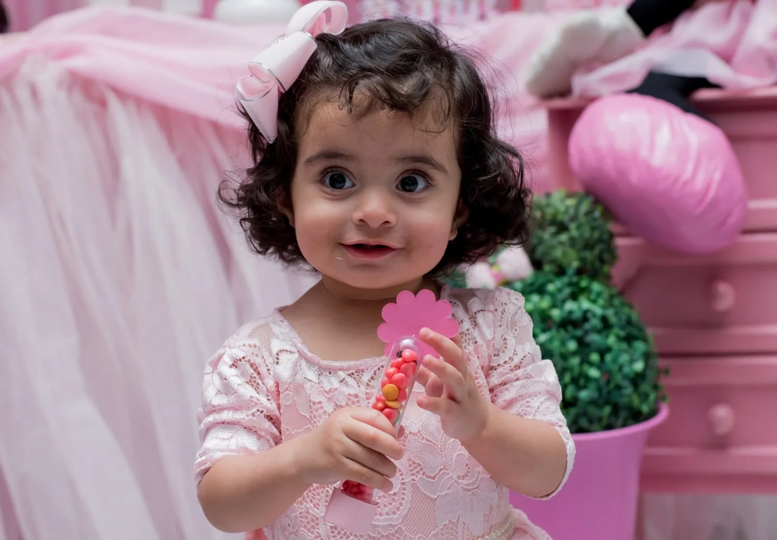Niver Aninha – MCA Photografia