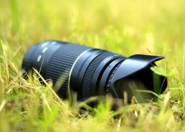 Fundo desfocado? Como fazer. – imagem 1